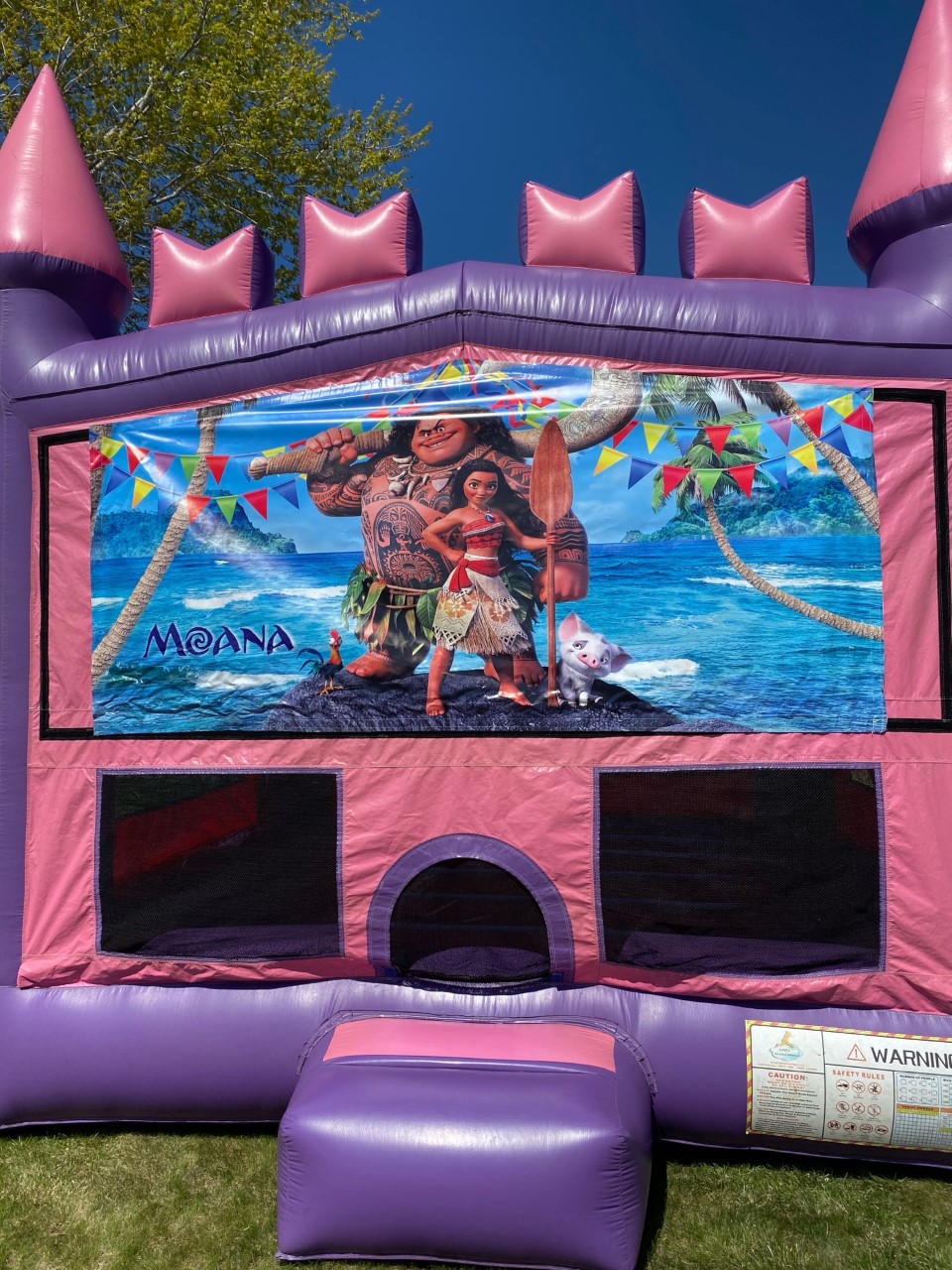 Moana Bounce House Rentals Minnesota Twin Cities Moana Inflatable Rentals